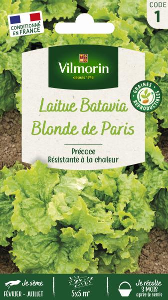 Potagères - Laitue Batavia Blonde de Paris - PACKAGING_RECTO